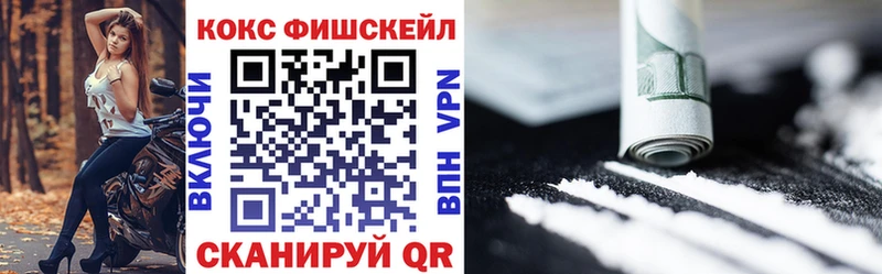 дарнет шоп  Камешково  COCAIN 99% 