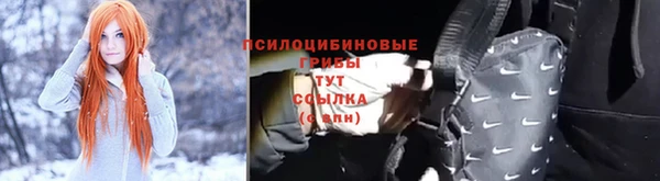 ПСИЛОЦИБИНОВЫЕ ГРИБЫ Армянск
