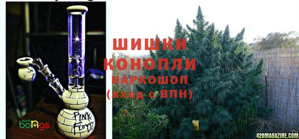 ПСИЛОЦИБИНОВЫЕ ГРИБЫ Армянск