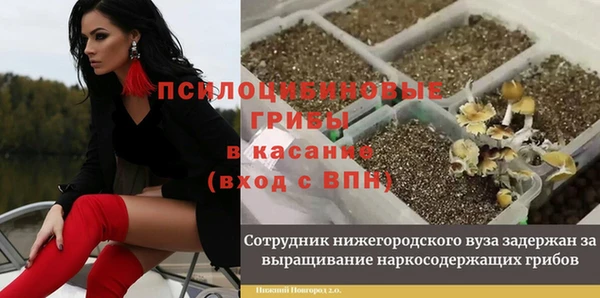ПСИЛОЦИБИНОВЫЕ ГРИБЫ Армянск