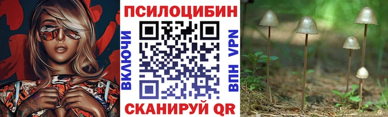 Галлюциногенные грибы GOLDEN TEACHER  darknet состав  Камешково  где найти  